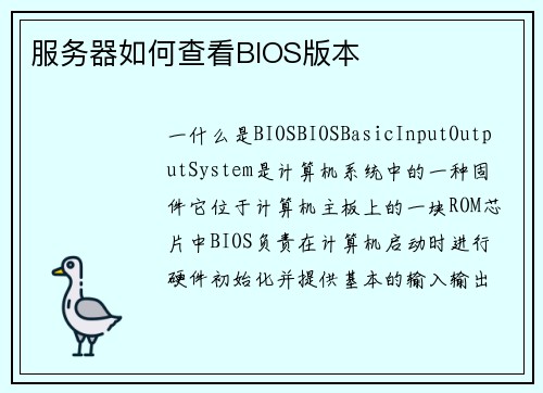 服务器如何查看BIOS版本